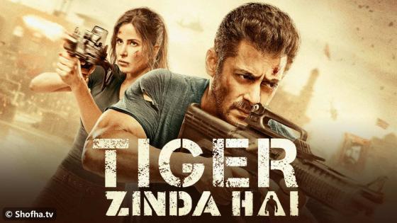 Tiger Zinda Hai 2017